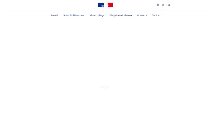 Screenshot of collegesainteemiliederodat.fr