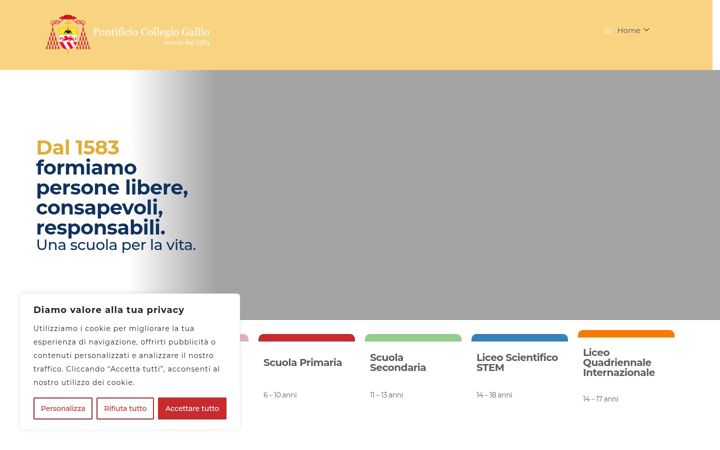 Screenshot of collegiogallio.it