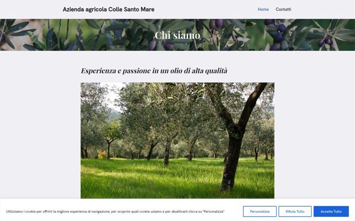 Screenshot of collesantomare.com