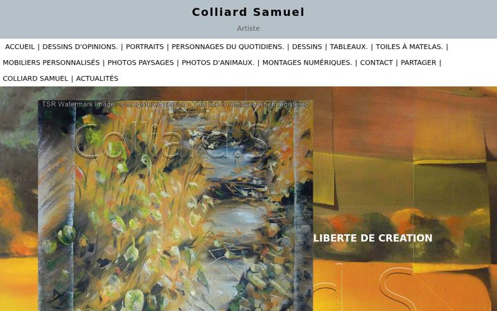 Screenshot of colliardsamuel.com