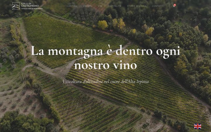 Screenshot of collidicastelfranci.com