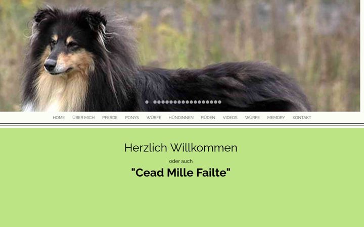 Screenshot of collie-weber.de