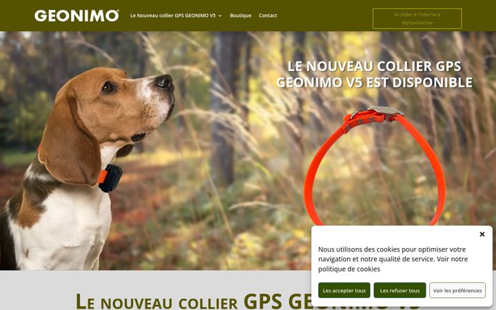 Screenshot of colliergps.fr