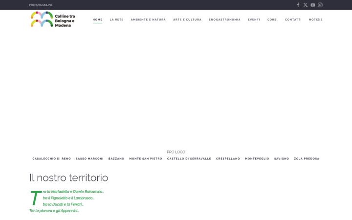 Screenshot of collinebolognaemodena.it