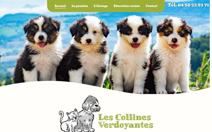 Skærmbillede af collinesverdoyantes.fr