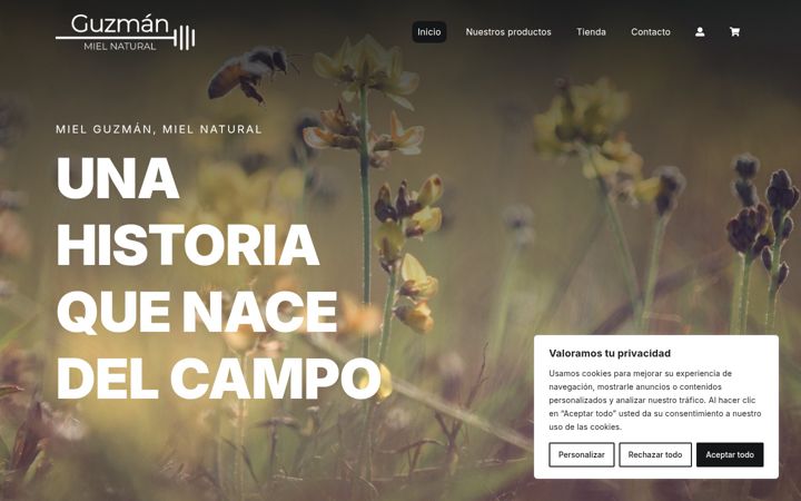 Screenshot of colmenadigital.eu