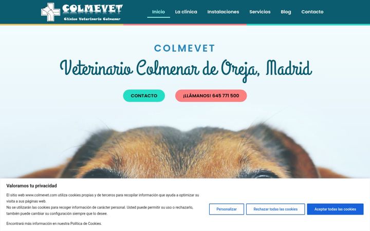 Screenshot of colmevet.com