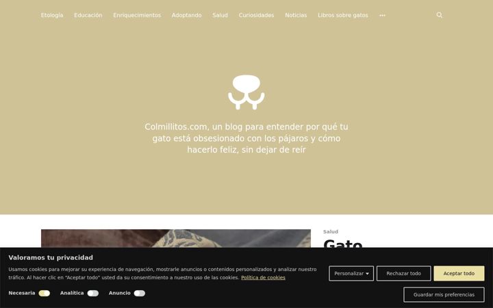 Screenshot of colmillitos.com