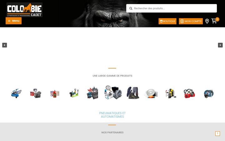 Screenshot of colombie-cadet.com