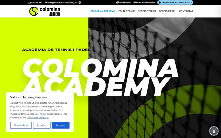 Screenshot of colomina-academy.es
