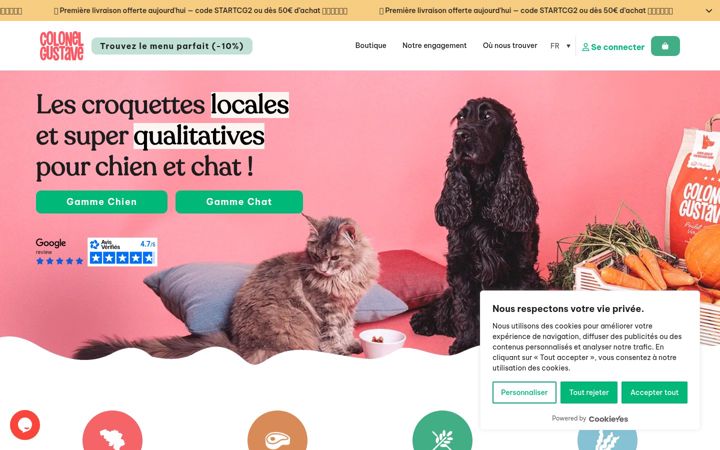 Screenshot of colonelgustave.com