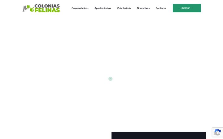 Captura de pantalla de coloniasfelinasnavarra.org