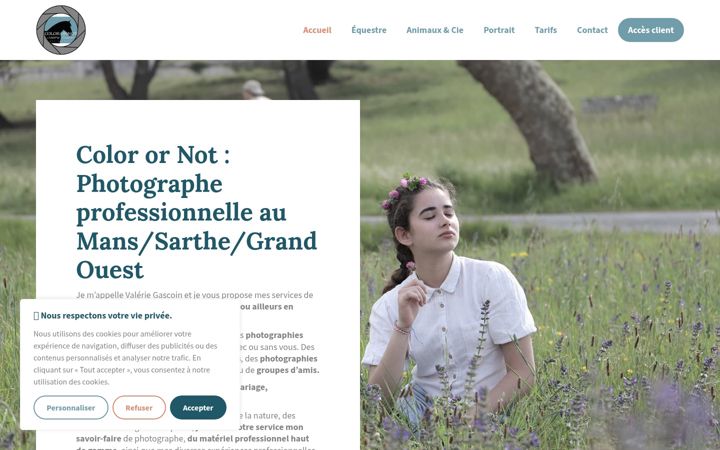 Screenshot of color-or-not.com