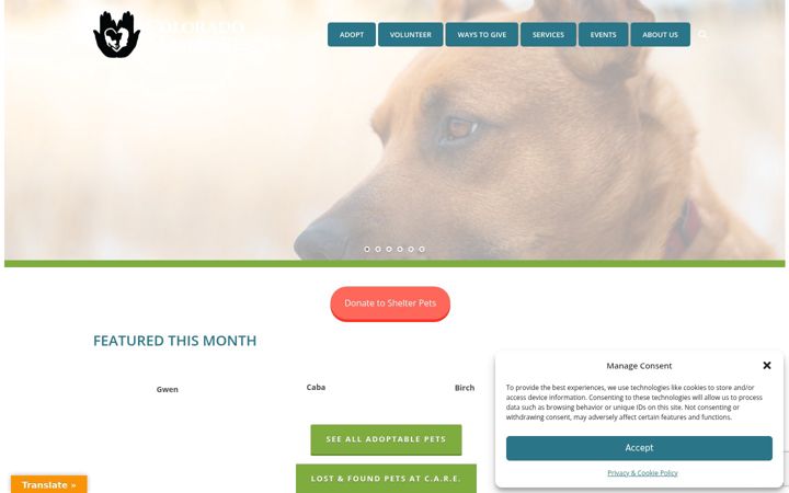 Screenshot of coloradoanimalrescue.org