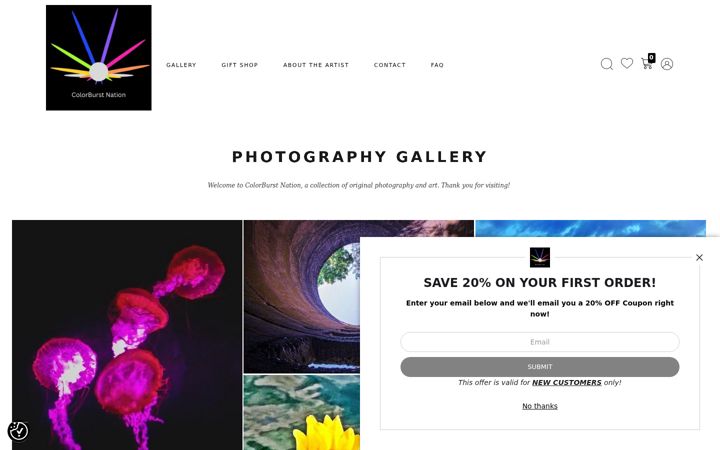 Screenshot of colorburstnation.com