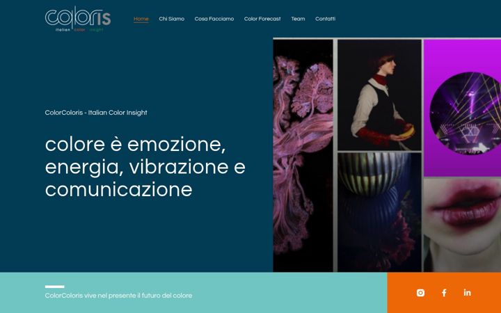 Screenshot of colorcoloris.com