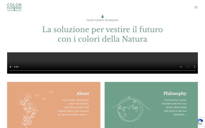 Screenshot of colorflowerstechnology.com
