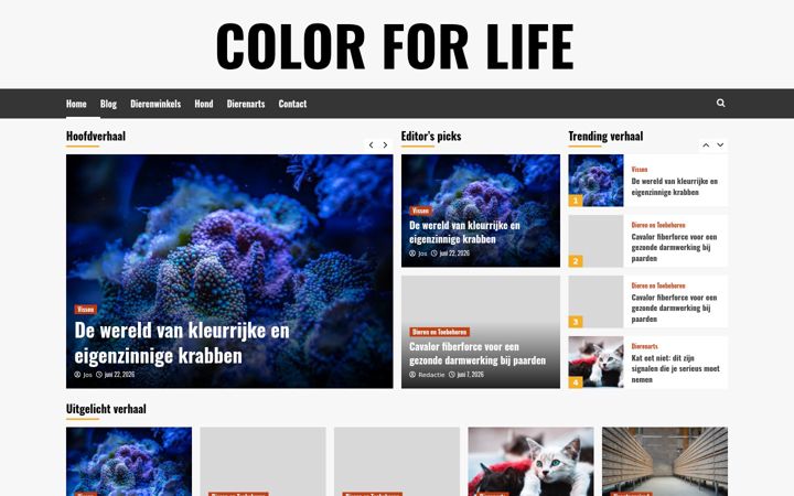 Kuvakaappaus sivustosta colorforlife.nl