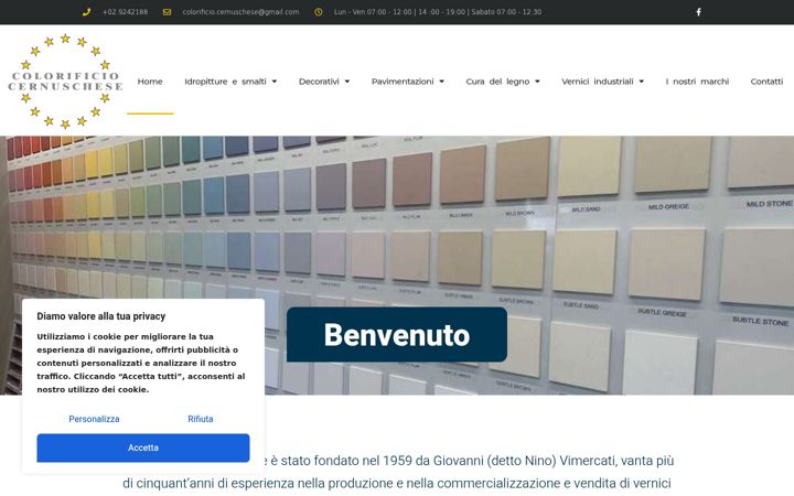 Skärmbild av colorificiocernuschese.it