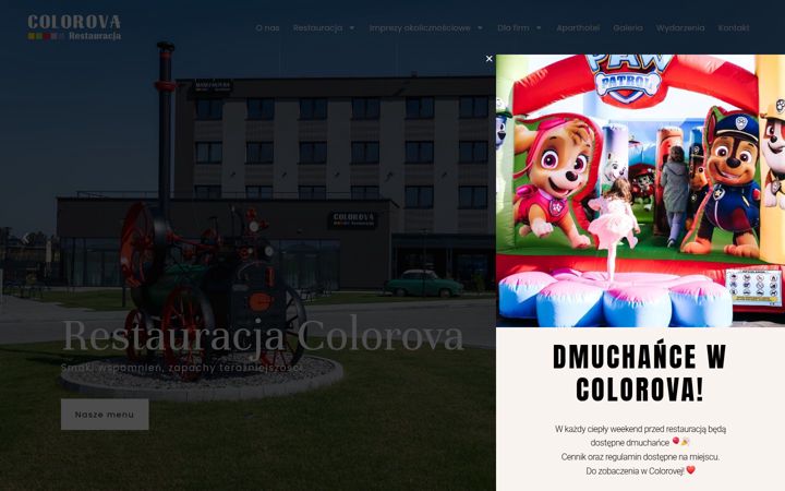 Zrzut ekranu colorova.pl