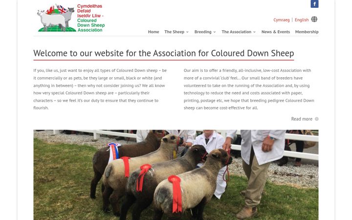Screenshot di coloureddownsa.co.uk
