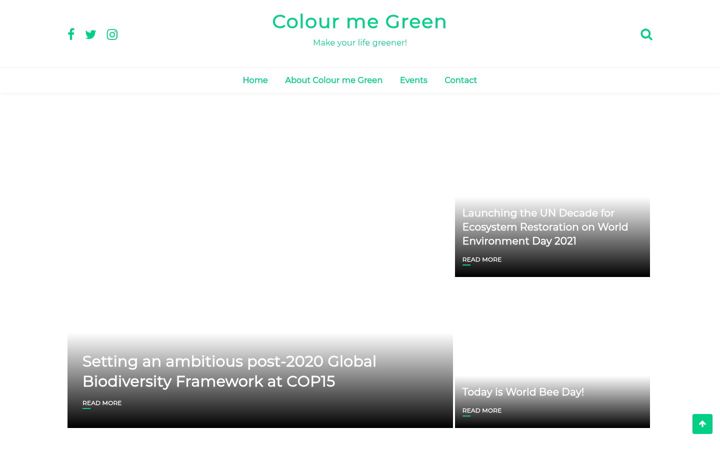 Screenshot von colourmegreen.net
