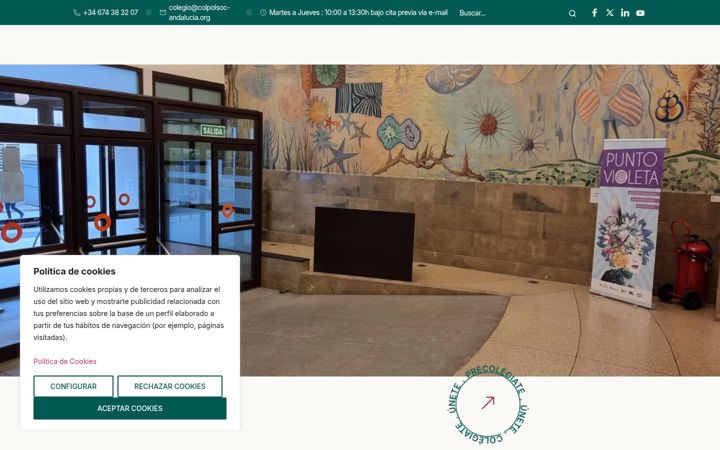 Screenshot of colpolsoc-andalucia.org