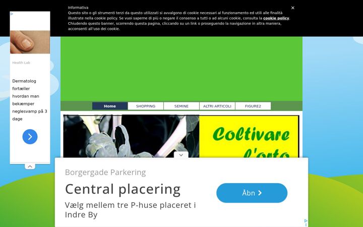 Screenshot of coltivarelorto.it