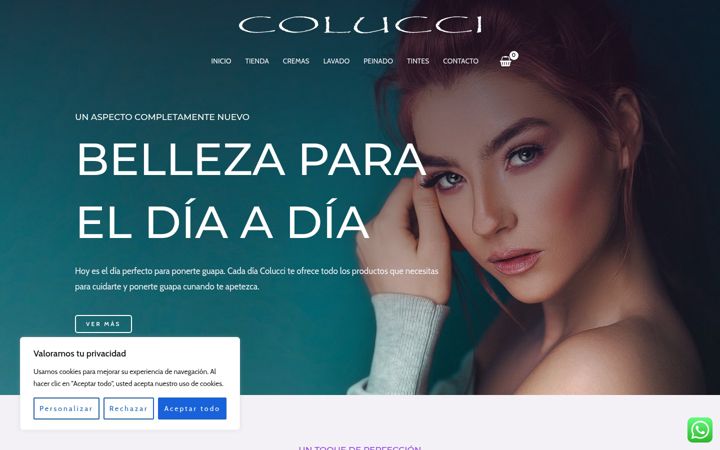 Screenshot of coluccivilanova.es
