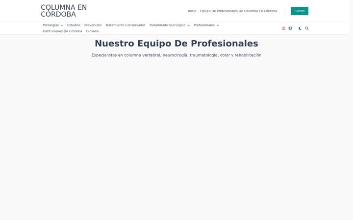 Screenshot of columna-spine.com