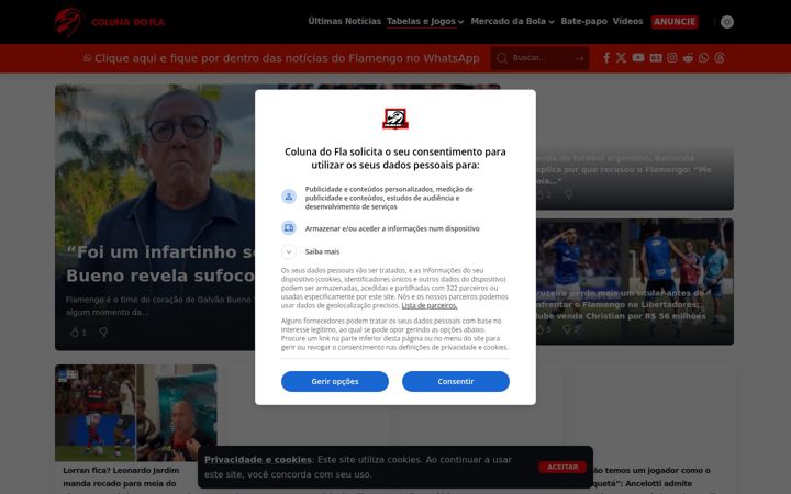 Screenshot of colunadofla.com