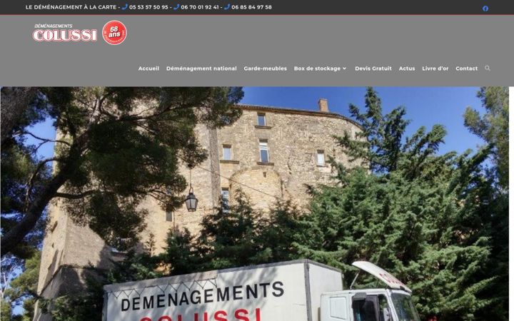 Screenshot of colussi-demenagement.com