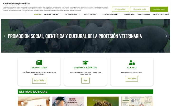 Screenshot of colvetalbacete.es