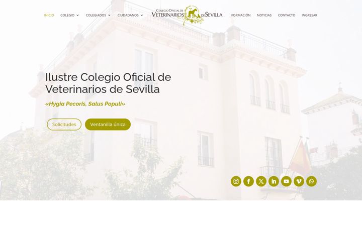 Screenshot of colvetsevilla.es