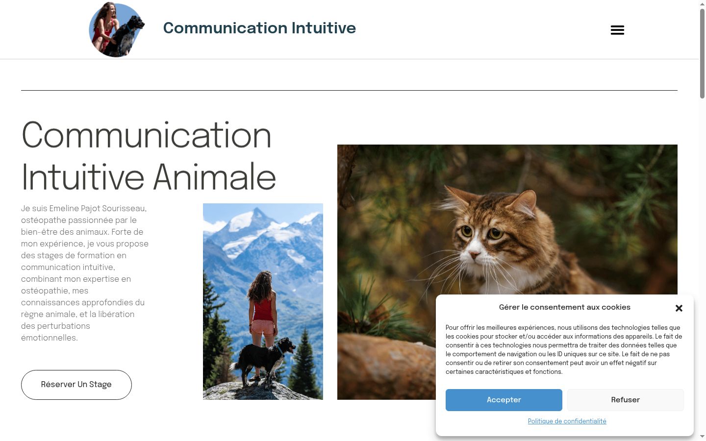 Capture d'écran de la bannière de consentement affichée avant toute interaction