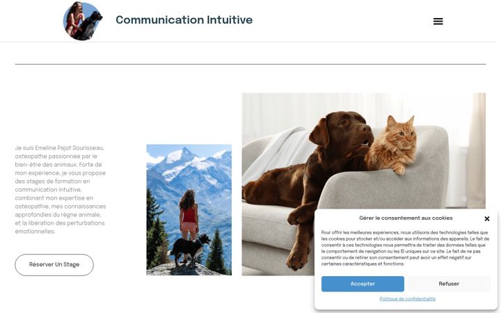 Screenshot of com-intuitive.fr