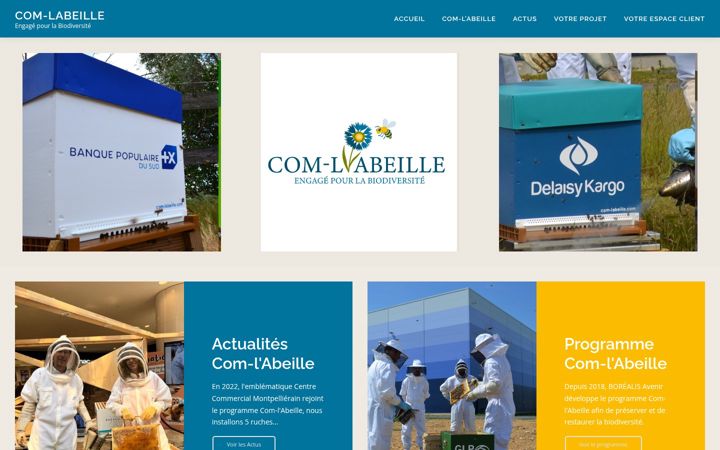 Screenshot of com-labeille.com