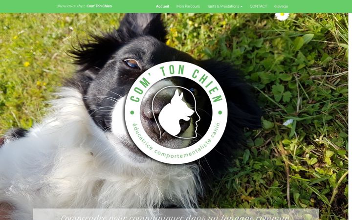 Screenshot of com-ton-chien.com
