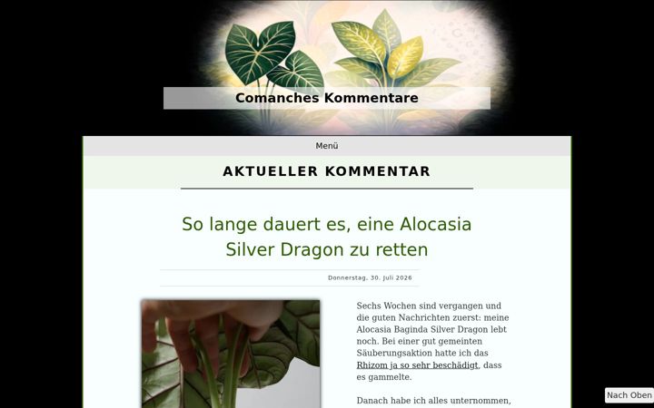 Screenshot of comanches-kommentare.de