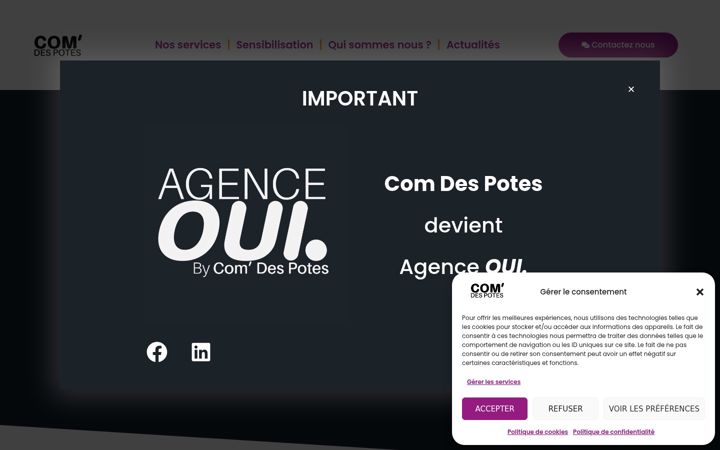 Screenshot von comdespotes.fr