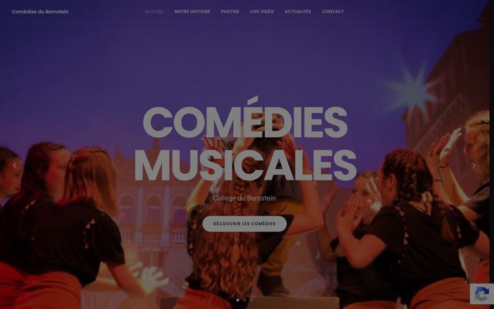 Screenshot of comedies-bernstein.fr
