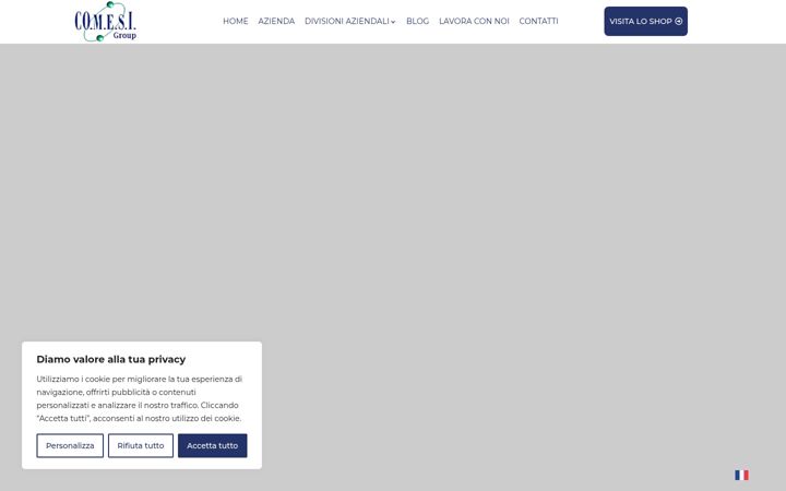 Screenshot of comesi.it