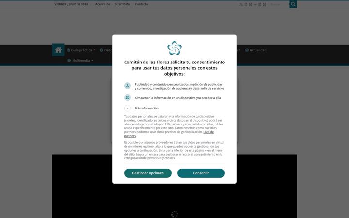 Screenshot of comitandelasflores.com