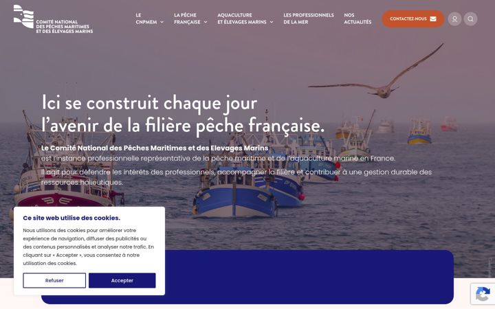 Snímek obrazovky comite-peches.fr