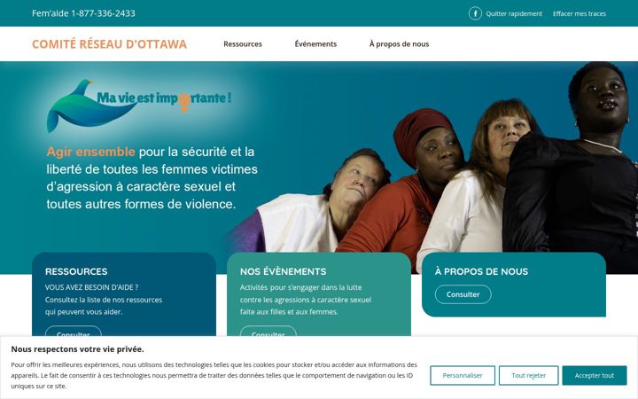 Screenshot of comitereseau.ca