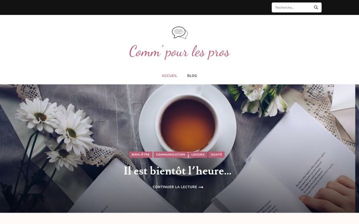 Screenshot of comm-pour-les-pros.com