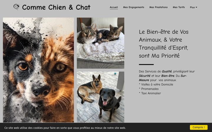 Snimka zaslona za commechienetchat-petsitter.fr
