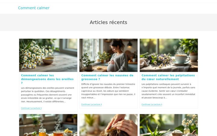 Screenshot of comment-calmer.com