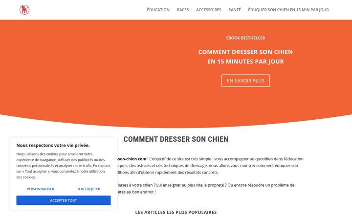 Screenshot of comment-dresser-son-chien.com