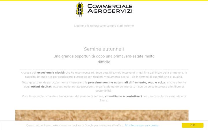 Screenshot of commercialeagroservizi.it